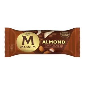 Magnum Almond 73 g