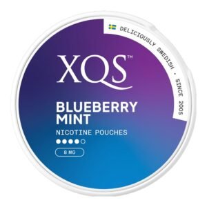 XQS Blueberry Mint 8,0 mg